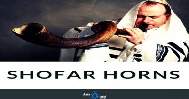 Best Jewish Shofar Horns