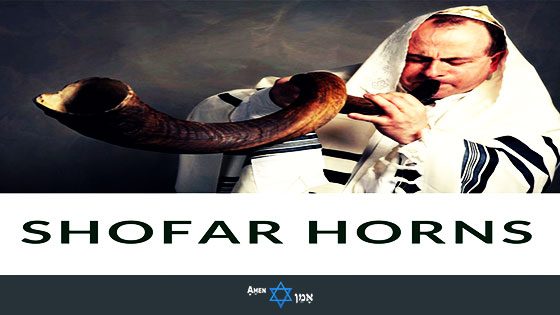 Best Jewish Shofar Horns