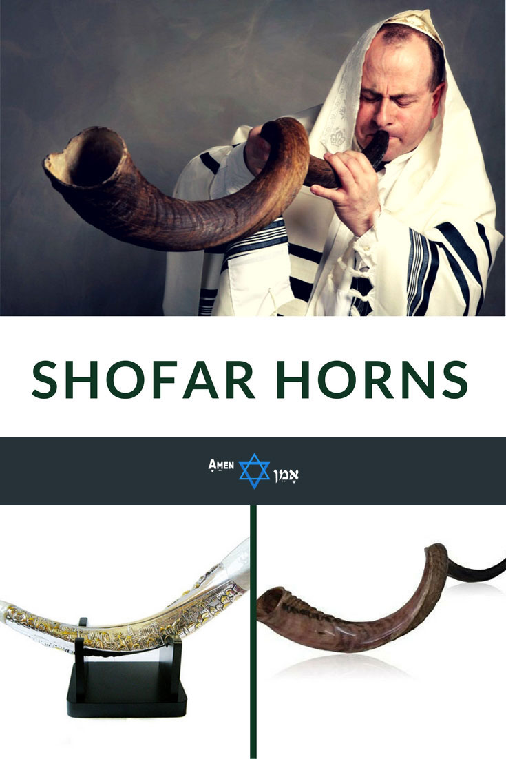 Best Jewish Shofar Horns 2 Large