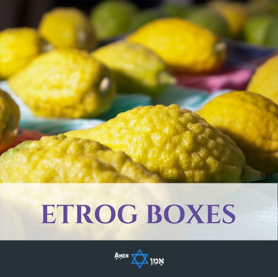 Sukkot Etrog Boxes