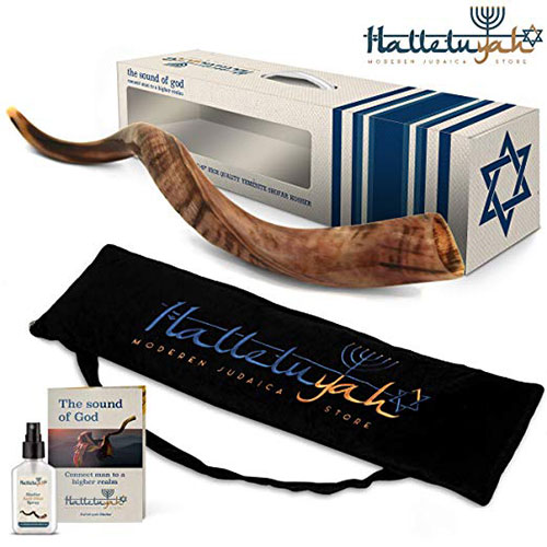 Halleluyah Half Polished Kudu Shofar Horn Set