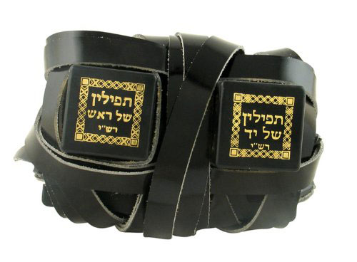 Kosher Tefillin Dakkot From Israel For Right Handed Ashkenaz Ktav Beit Yossef