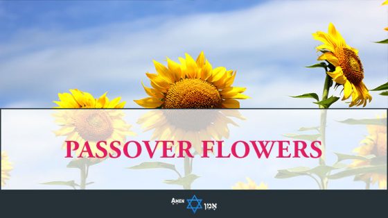 Passover Flowers