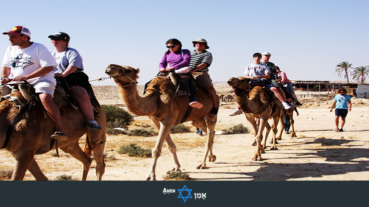 Camel Ride Israel