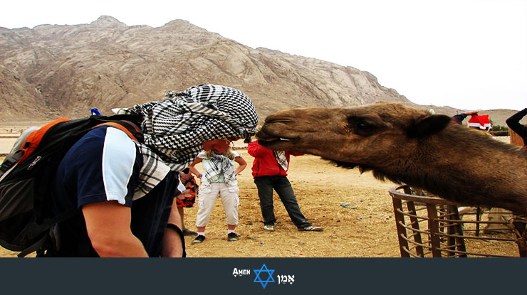 Licked By Camel In Israel