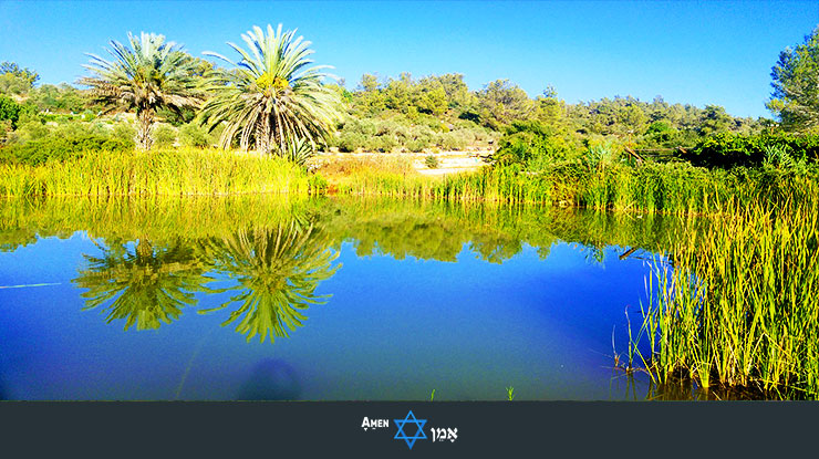 Neot Kedumim Lake View