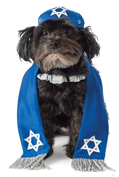 Hanukkah Pet Costume